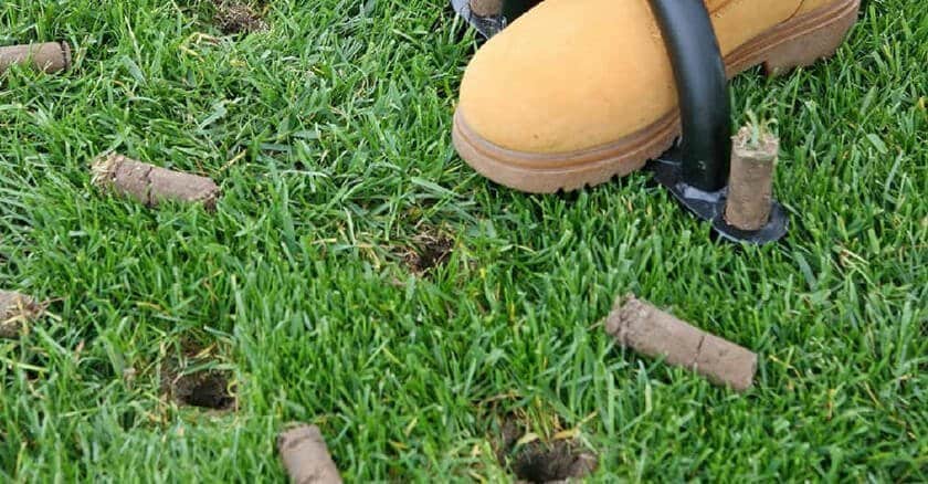 Lawn Aeration Why When And How To Aerate Your Lawn Ultimate Guide