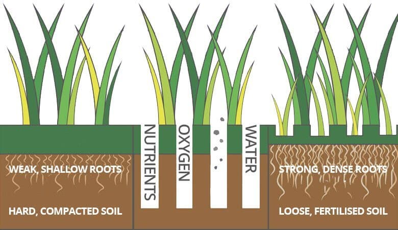 benefits of lawn aeration