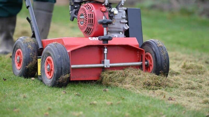 how to scarify a lawn