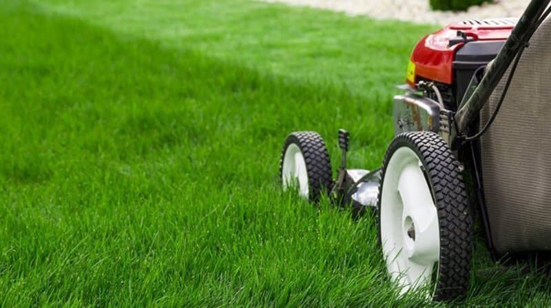 how to mow the lawn