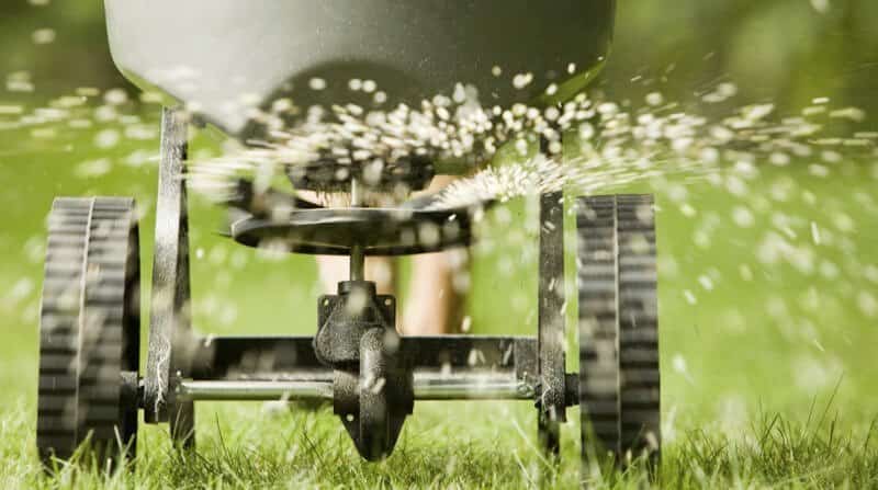 fertilise your lawn in the spring and summer