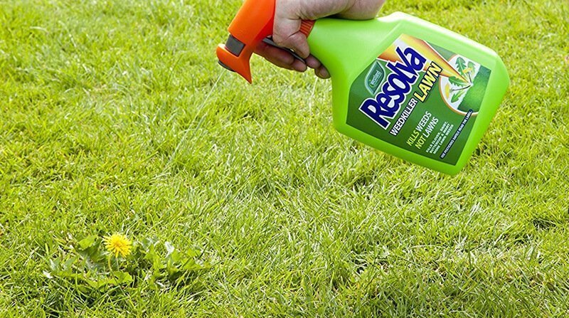 best lawn weed killer