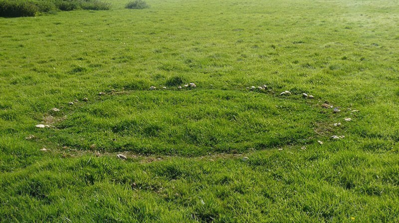 type 1 fairy ring