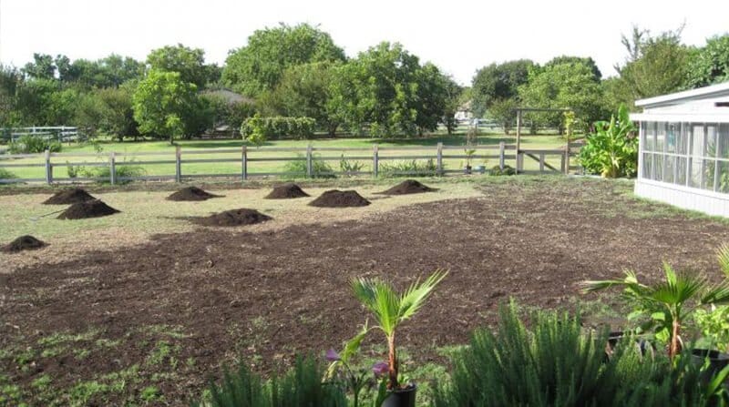 top dressing lawn