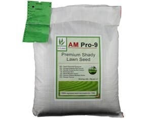the best shady lawn seed