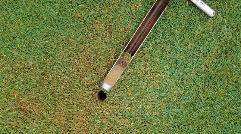 take all patch in lawn