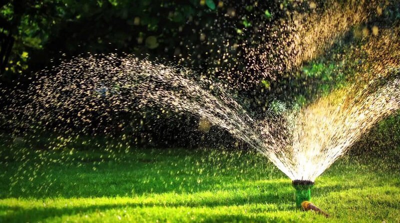 watering new turf