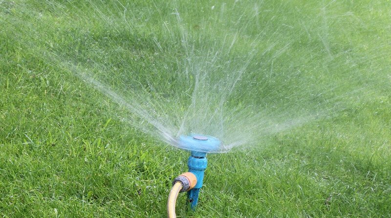 how to water the lawn