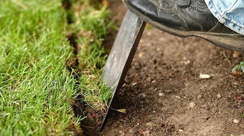 edging a lawn in spring