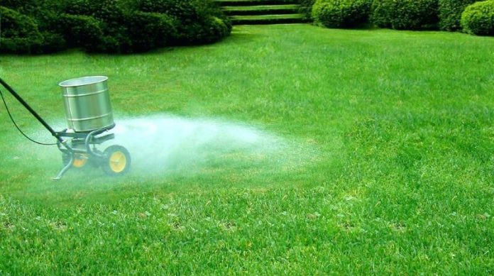 lawn-sand lawn sand