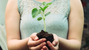 Do Plants Have Feelings? Sense of Feel - GardenSeeker