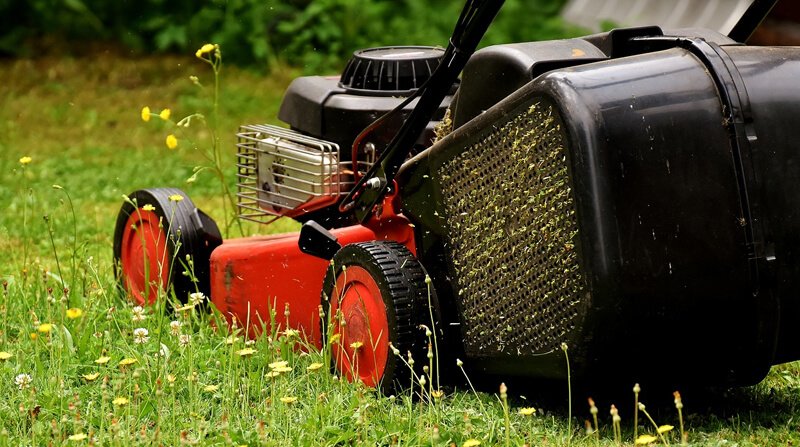 how infrequent mowing can damage a lawn