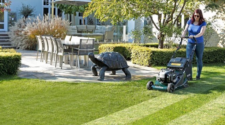 Lawn Care Calendar A Month by Month Lawn Treatment Guide