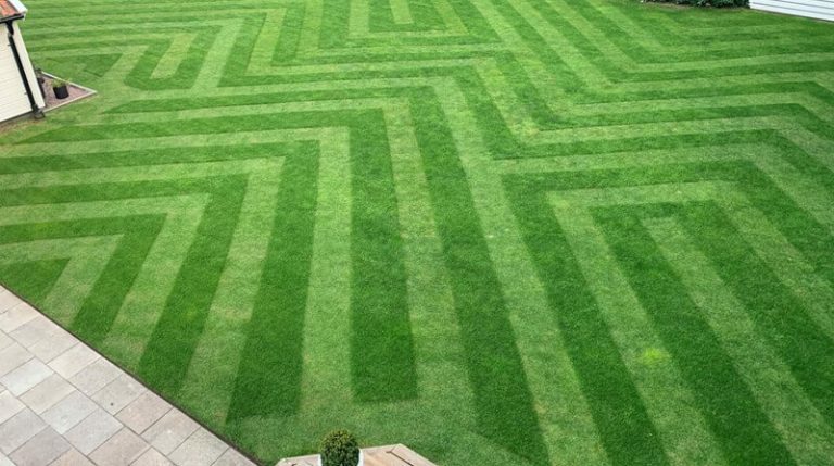 How to Create a Spectacularly Striped Lawn or Grass Pattern + Examples