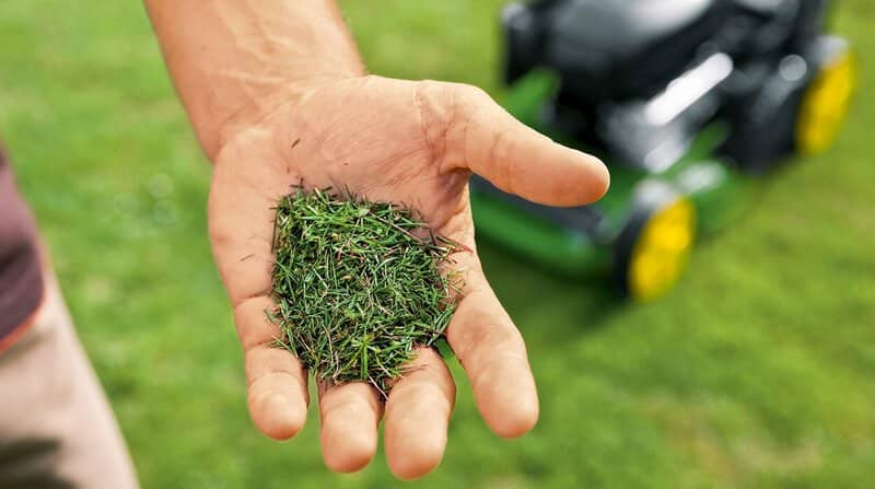 Choosing the Right Type of Grass Clippings for Mulching