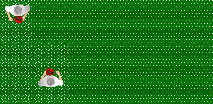 cross feeding your lawn step 2