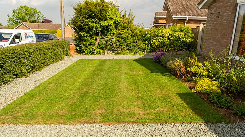 patch magic test lawn with bald patches