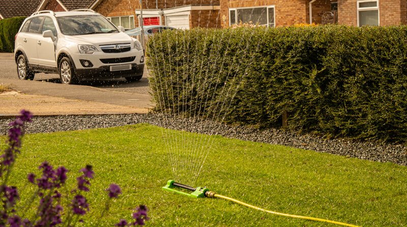 soak the lawn before applying patch magic