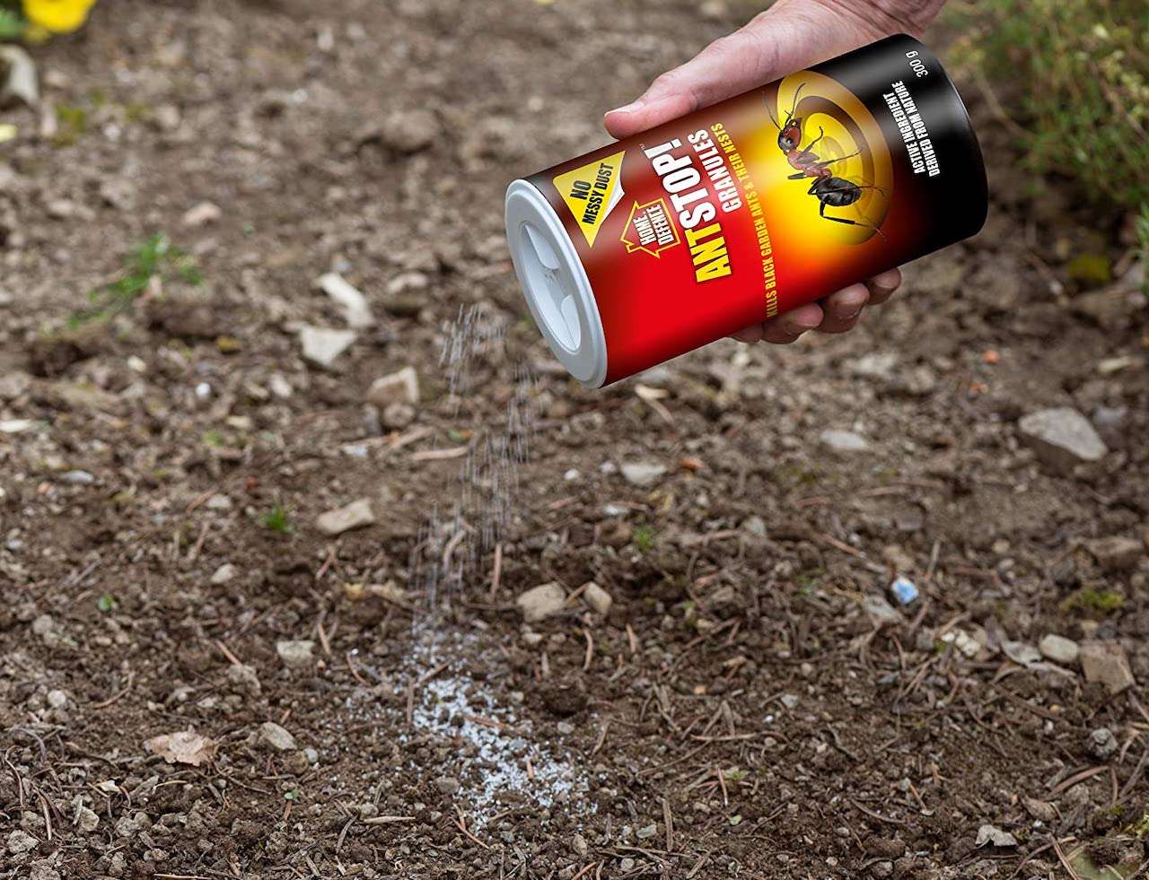 How to Kill Ants in Your Lawn, Remove Ant Hills & Prevent Them Returning