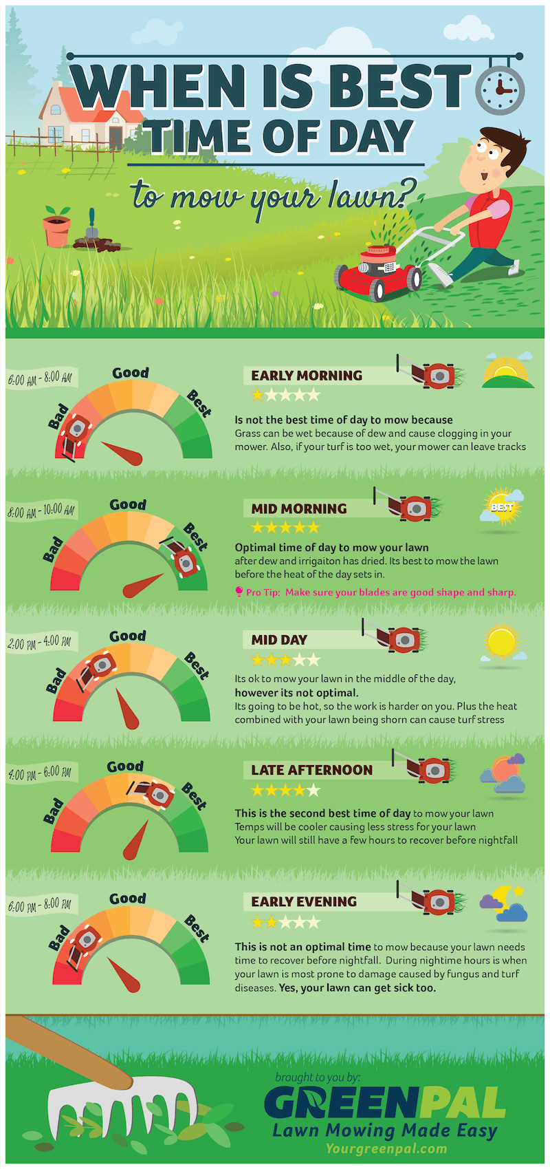 The Best (and Worst) Time of Day to Cut the Grass and Why it Matters