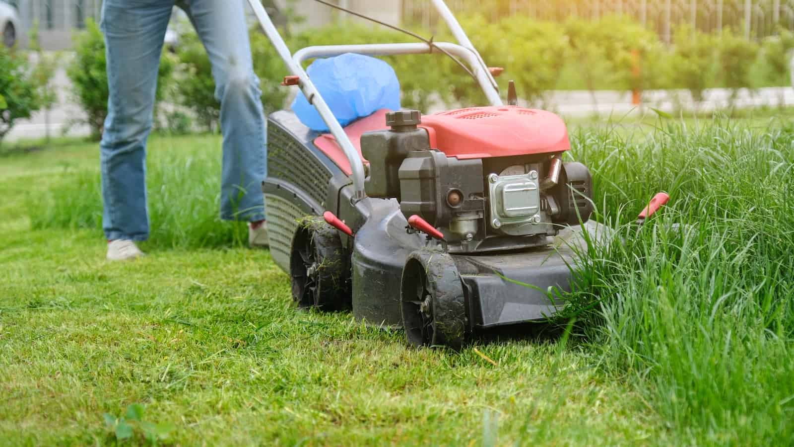 first mow long grass with lawn mower